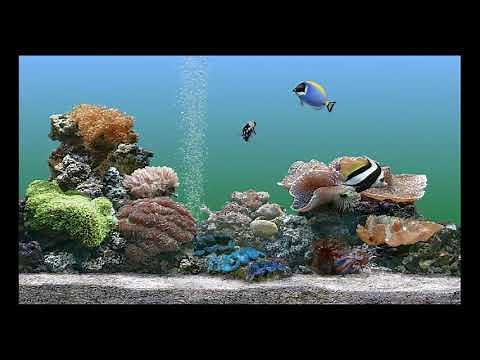 Windows XP Plus! Aquarium Screensaver