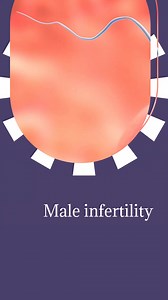 Did you know that the plastic products you use every day might be...