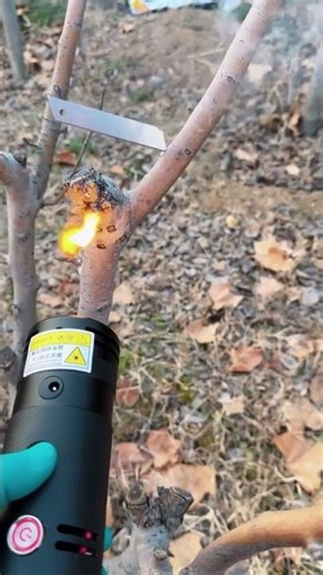 Laser igniter test，Do you want one?#laser #loot #light #laserigniter