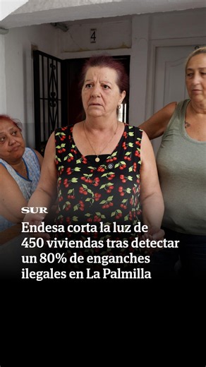 Endesa cuts power to 450 homes after detecting 80% illegal hookups in La Palmilla