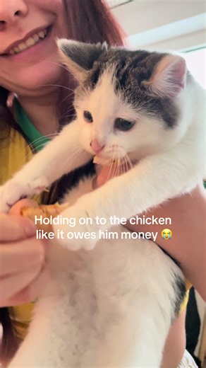 Toffee the Greedy Cat: Holding on to His Chicken