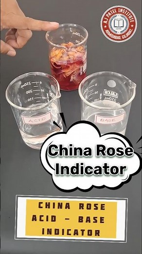 China Rose Indicator 🌹 | Acid - Base Test ? 🤔 #ScienceExperiment#science #diy #experiment