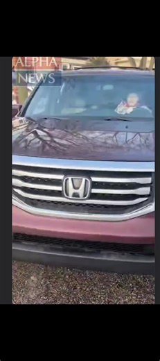 Patriot Protection (@patriot.protection)’s videos with original sound - Mrkeepfit