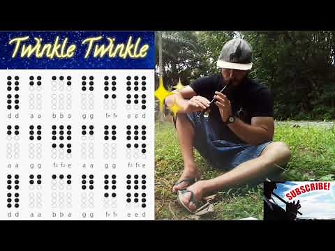 Easy Tin Whistle Tutorial with Tabs - Twinkle Twinkle Little Star