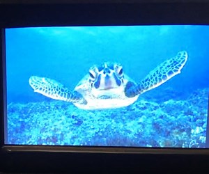 Small Digital Photo Box for Desk