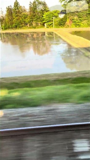 水を張った田んぼと列車の影