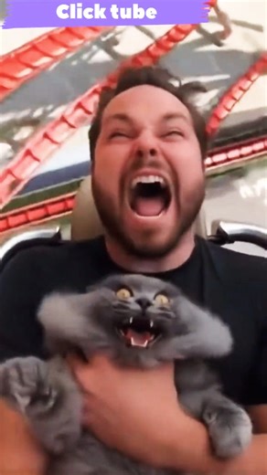 Cat reaction 😍😍😍😍😍