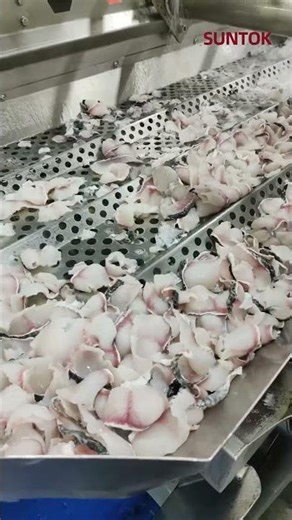 Vibration cleaning machine for fish slice