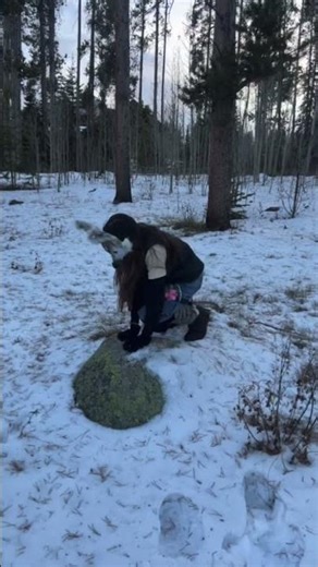 SNOW DAY ON VACA!🎉 #therian#okapi#snow#therianthropy#alien#quads#quadrobics