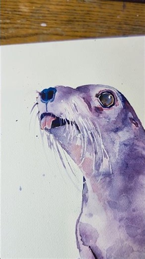 I Draw a Sea Lion. He Acts like One. #shorts