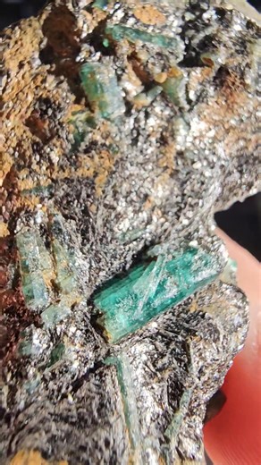 31K views · 710 reactions | An extremely rare example of an...