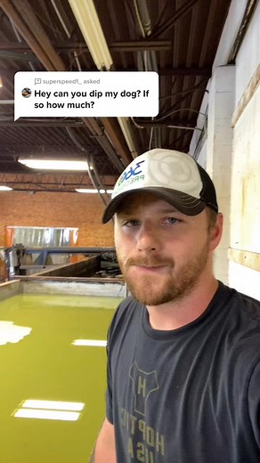 Answer to famous words of Randy Jackson. #foryou #foryoupage #acid #fyp | Rowan Jenkins