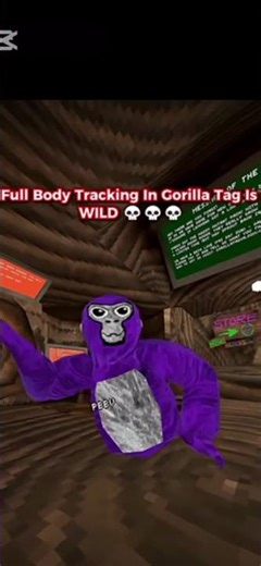 Full body tracking in gtag is wild