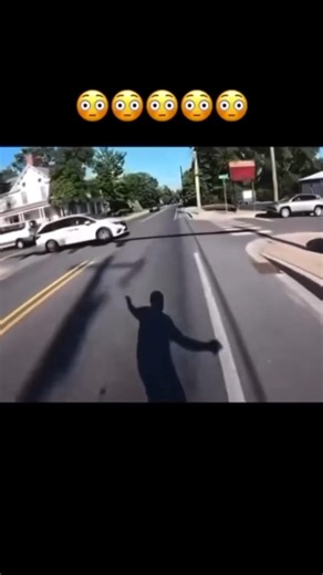 ♦️ This monkey has the best job in the world! 🐒✨| #shortsfeed