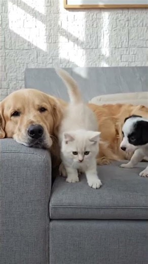 This is the beginning of a beautiful friendship…🥹❤️