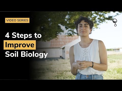 4 Steps to Improve Soil Biology