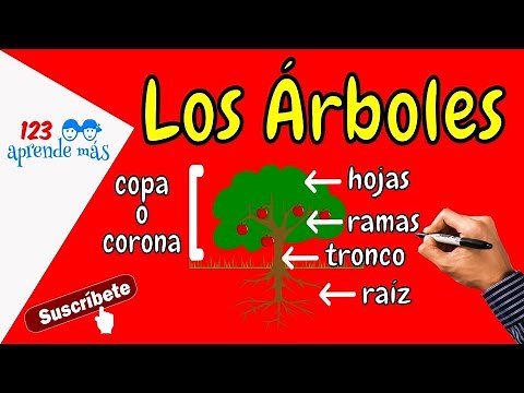 Los ÁRBOLES para niños de primaria.