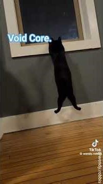 Void Core. (credits to wendy.robbis)