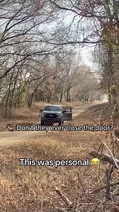 Funny Deer! #funnyvideos #hilariousvideos #funnyvideo #funny | Marvin Mason