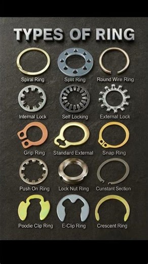 A detailed visual guide to fourteen common types of retaining rings, showing their shapes, functions