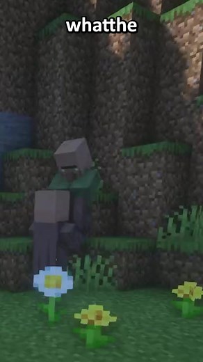 The Most Sus Village Ever Revealed