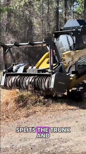 This Machine Instantly Makes an Entire Tree Vanish
