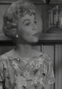 The Donna Reed Show S02:E08 - Nothing Like a Good Book