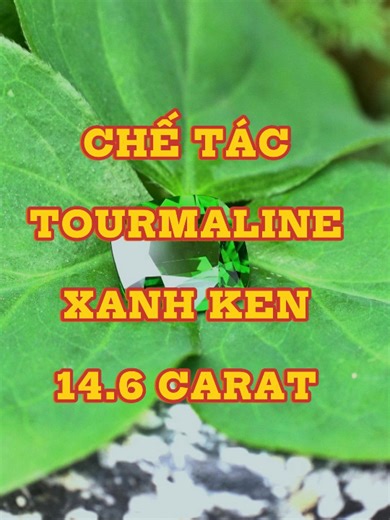 CHẾ TÁC TOURMALINE XANH KEN 14.6 CARAT #yenbairubyvlog #THIENHAO #thienhaodaquy #rubyvlog #daquylucyen #rubyyenbai #longersvideos #learnontikok #chodaquy #gemstone #chodaquylucyen #daquyyenbai #daquy #tourmaline #tourmalinexanhken #chetacdaquy