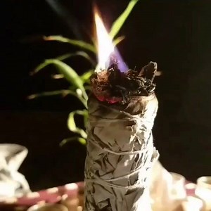 1.5K reactions · 980 shares | #BurningSage is one of the oldest...