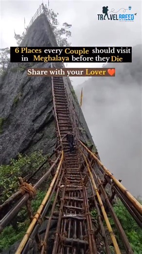 🌿✨ Meghalaya – the abode of clouds ☁️ is home to some of the most unreal places you must visit with your partner. 💑 From living root bridges 🌱, crystal-clear rivers 💦, majestic waterfalls 🌊 to caves and hidden valleys – this is a once-in-a-lifetime journey. 🌸 Because some trips are not just travel, they are memories for life. 💫 👉 Plan & book your Meghalaya trip with us today and explore the magic of North East 🏔️ ⸻ Travelbreed - #breedoftravellers Meghalaya, Travel, Clouds, Nature, Wate