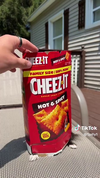 Cheez-It Flying Pudding: A Spicy Surprise Encounter