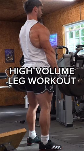 Dylan Shannon | High Volume Leg Workout 1. Deficit RDL 4x10-12 2. Leg Extensions 4x10-12 3. Chain Squat 3x8-10 4. Hamstring Curls 3x8-10 5. Leg Press... | Instagram