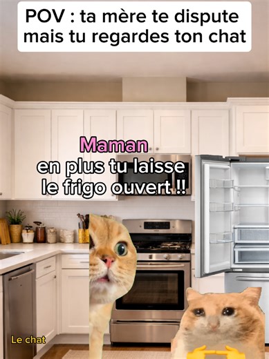 Quand ta mère te dispute et que tu ignores tout pour ton chat