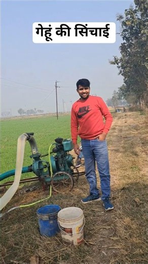 Wheat Farming✅️ #wheat #minivlog #shorts #viral #former