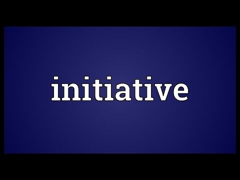 Initiative Meaning