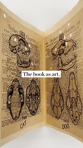 75K views · 38 reactions | Discover books that break all the rules. Paper Universe: The book as art is a free exhibition, now open. | The State Library of New South Wales | Facebook