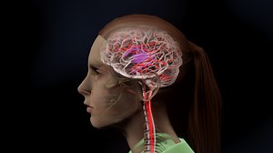 Animation gallery - Moving Science