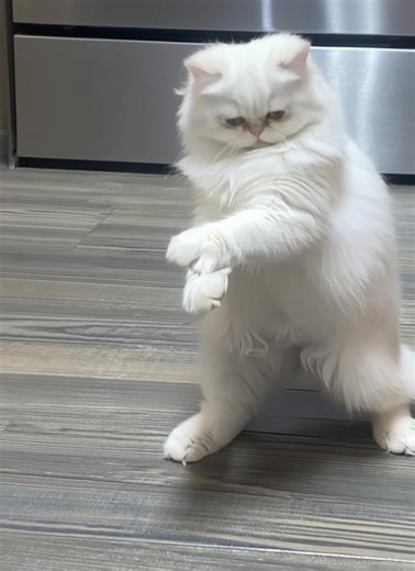 Dance Lessons That Benefit Kids and Parents