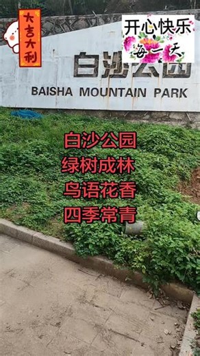 #登山步梯 #松弛爬山 #爬山打卡 白沙公园 鸟语花香 #户外爬山不一样的景观