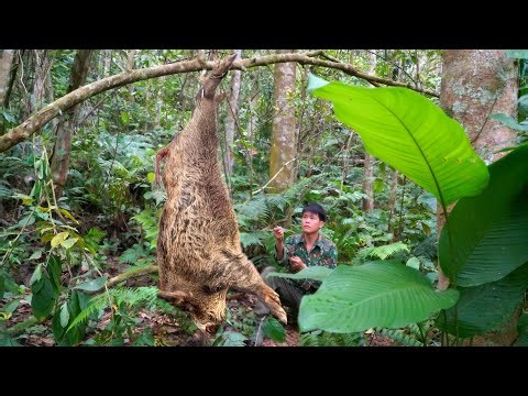 Survival skills, wild boar footprints, and effective wild boar trapping techniques in nature