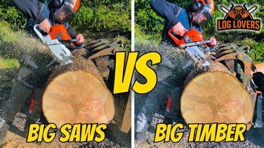STIHL MS 661 vs Husqvarna 592 XP - Which Cuts Faster? Log Lovers 4 | Machinery Nation