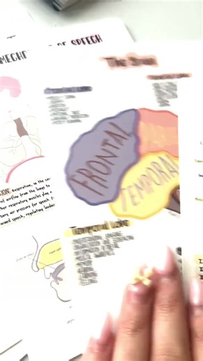 SLP, 10 Speech Student Cards, Study Card Bundle, Speech Path, Slp2b, Future Speech Pathologist, Speechie, Ipachart, Slp Study Cards, SLPA - Etsy