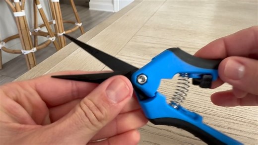 Watch All About These Sharp Pruning Sheers on Amazon Live
