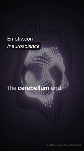 Understanding the Mechanisms of Long-Term Memory Loss