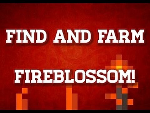 How to Find/Farm Fireblossom in Terraria (Android, iOS, PC, Console)