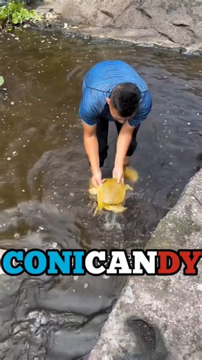 राजू अपनी गर्लफ्रेंड के लिए कछुआ पकड़ रहा है 😱 #viral #fishing #trending #shorts