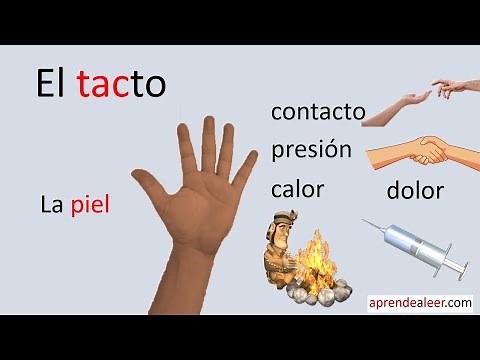 El sentido del tacto para niños de primaria