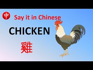 #chicken 🔴 How to say "chicken" in Chinese? 用中文说"鸡"/我喜欢糖醋鸡sweet sour chicken.#animal#learnChinese