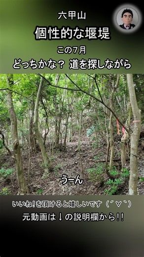 どっちかな？ 道を探しながら（No Voice / Nature Sounds / POV) 六甲山 有馬温泉 登山 仏谷 沢登り バリ山行 バリエーションルート