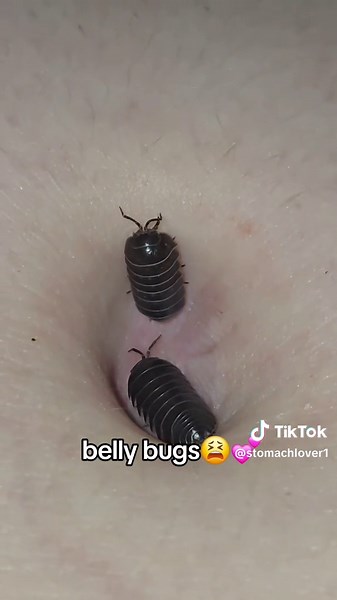 Belly Tickle Fun: Discovering the Joys of Belly Play